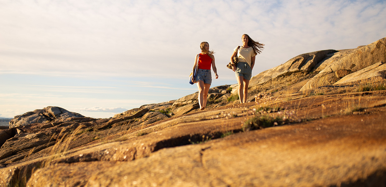 Sensommer i Vestfold