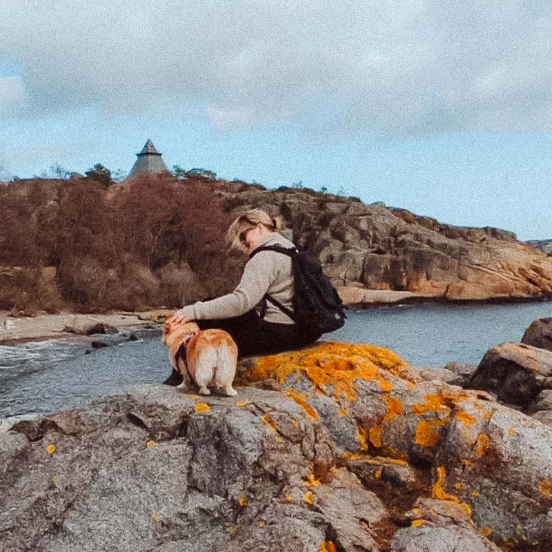 Overfor et naturskjønt kystlandskap sitter en person på en steinete utkikk og klapper en hund. Bakgrunnen avslører dramatiske klipper og et avsidesliggende sjøfartsmonument.
