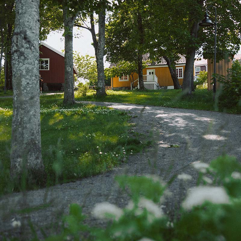 Grusvei gjennom en hage med store trær, der røde og gule trehus med tegltak ligger spredt mellom trærne.