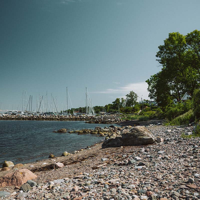 Steinete strand med seilbåthavn i bakgrunnen. Båtmaster stikker opp mot blå himmel, og grønne trær vokser langs strandkanten.