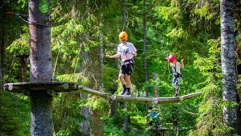 To barn med oransje og rød hjelm balanserer på hengebro mellom trær. De er sikret med klatreseler i en tett, grønn granskog.