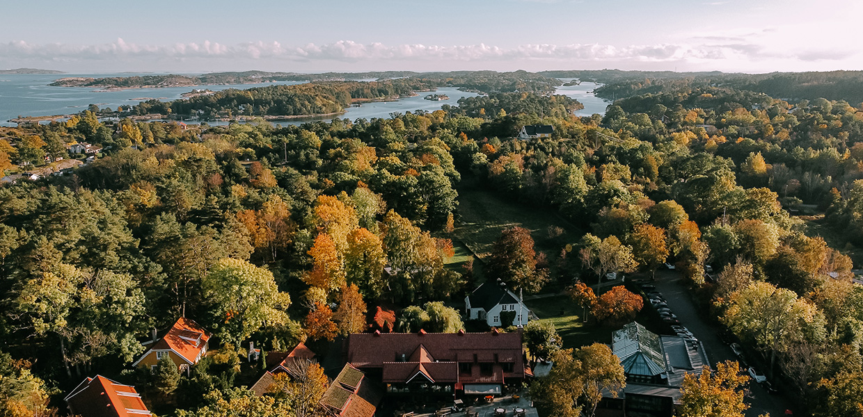 oversiktsbilde av skog med høstfarger