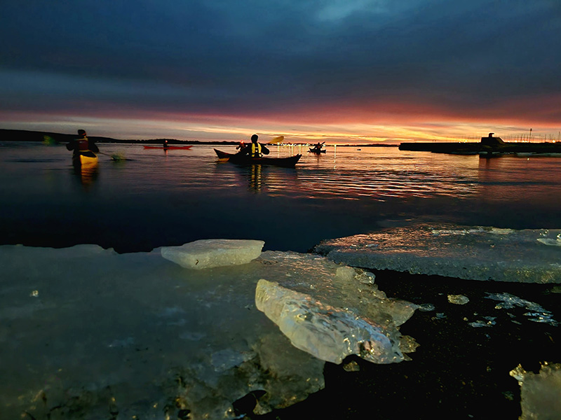 fire kajakker på havet med isflak flytende i havet i kveldslys