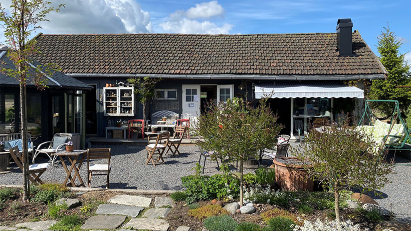 : Koselig gårdsbutikk med uteservering, grønne planter og landlig atmosfære på tunet. Det er mange sitteplasser spredt utover grusen på utsiden av gårdsbutikken.