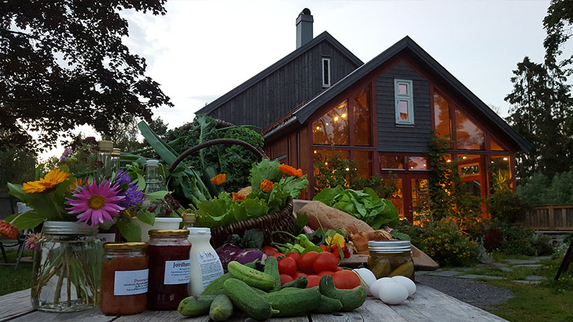 : Et rustikt trebord bugner av ferske gårdsprodukter, inkludert agurker, tomater, salat, egg, syltetøy, honning og hjemmelaget yoghurt, vakkert dandert i kurver og glass. Blomster i små vaser tilfører farger, og i bakgrunnen lyser vinduene i en sjarmerende gårdsbutikk opp kvelden, omgitt av frodig hage og grønne vekster.