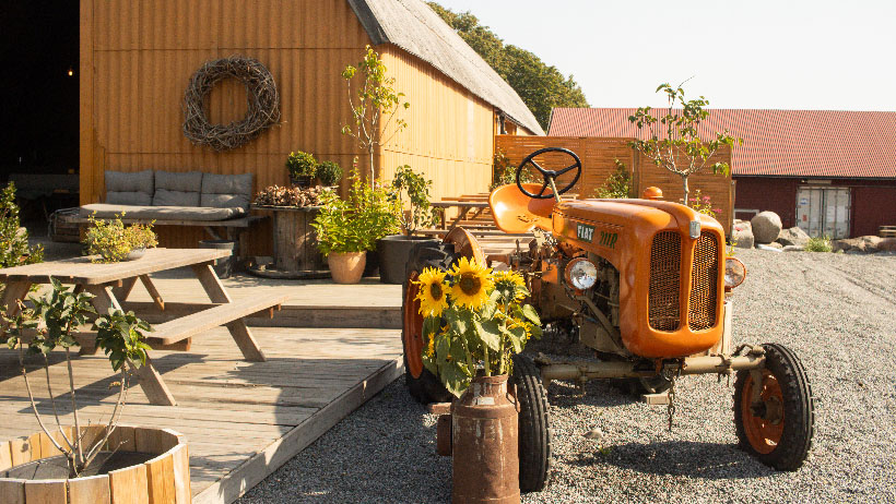 : En gammeldags, oransje traktor står parkert foran et sjarmerende, gult gårdsbygg med en koselig sitteplass. Solsikker i en gammel melkespann står foran traktoren og grusplassen skaper en autentisk, landlig stemning.
