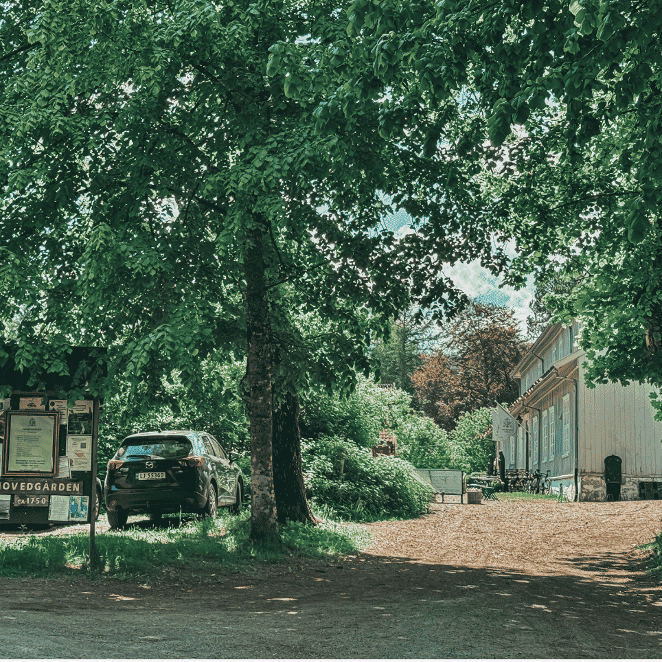 A gravel path beneath large trees, with parked cars and an information sign.