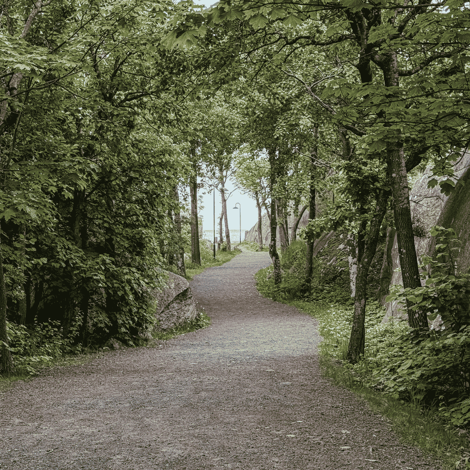 Gruset sti gjennom skog, med utsikt mot vann og en lyktestolpe lengre fremme.