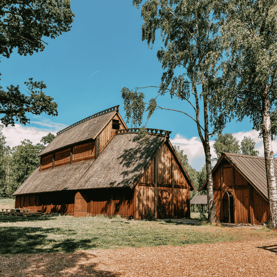 : Two timber-framed longhouses with carved ridge finials on the roof, surrounded by birch trees and a gravel courtyard.