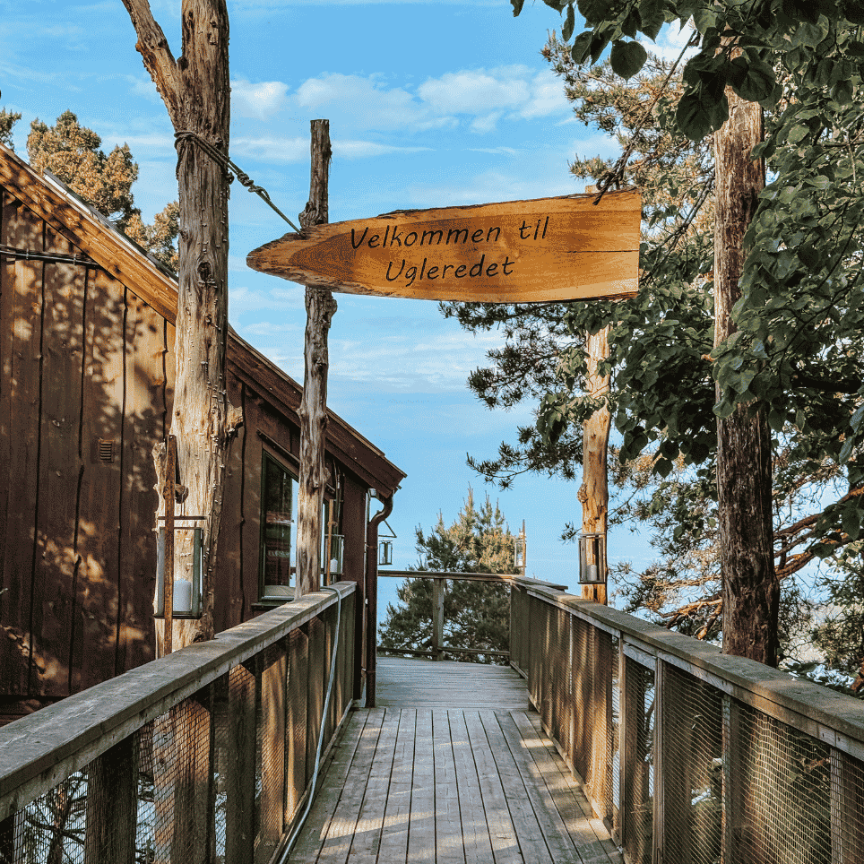 A wooden bridge with a signpost attached between the trees, pointing towards a cabin.