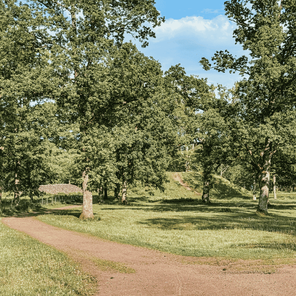 A gravel path through a deciduous forest, with burial mounds visible between the trees.