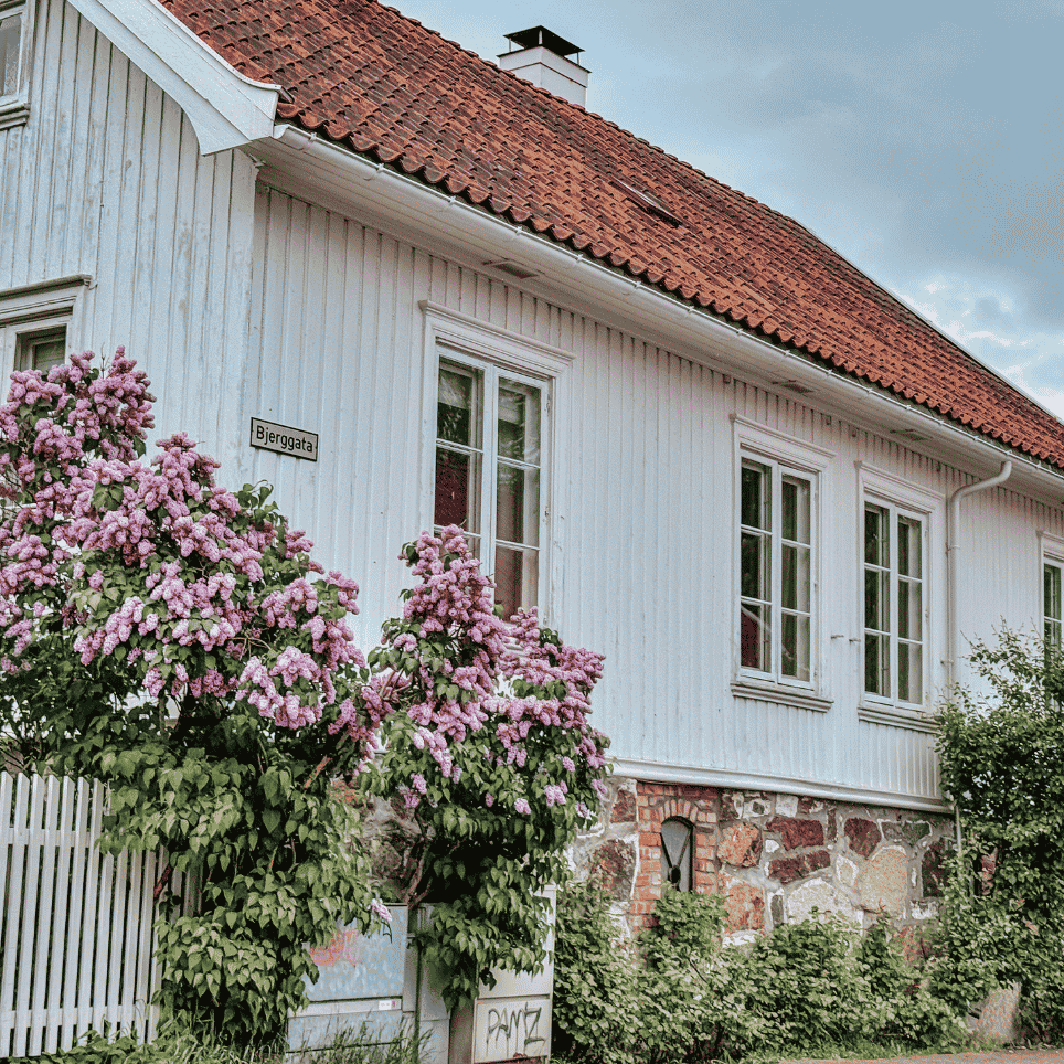Hvitt trehus med en blomstrende syrinbusk ved siden av gateskiltet "Bjerggata".