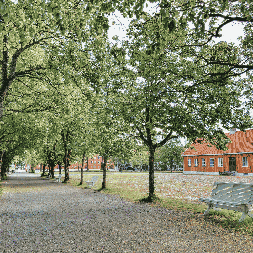 a gravel path with benches amongst the trees