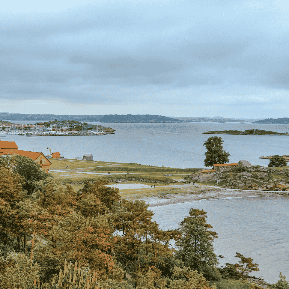 A view of a fjord with yellow boathouses, a marina with houses on a small island, and wooded islands on the horizon.